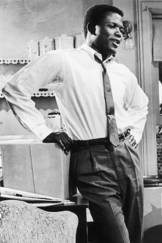A Raisin in the Sun (1961) Daniel Petrie, Sr. Cast and Crew AllMovie